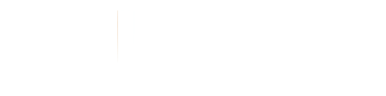 Bullet Pro